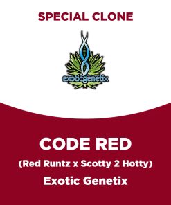 Code Red | Exotic Genetix | Special Clone