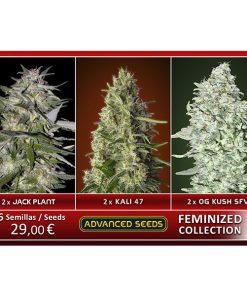 Feminized Collection  #4 Advanced Seeds