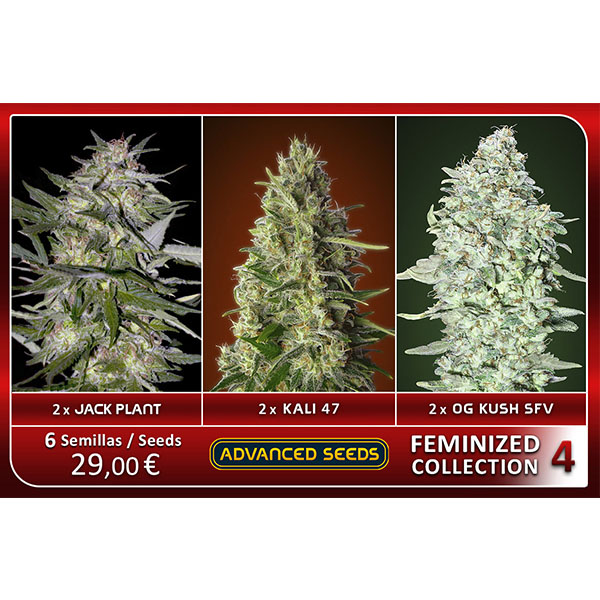 Feminized Collection #4 Advanced Seeds
