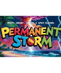 Permanent Storm 3 ud. fem Elev8 Seeds