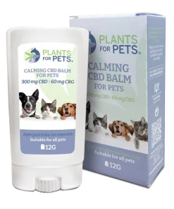 Plants for Pets Balsamo Calmante Stick CBD 300mg CBG 60mg (12gr)