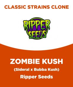 Zombie Kush | Ripper Seeds | Classic Strains Clone